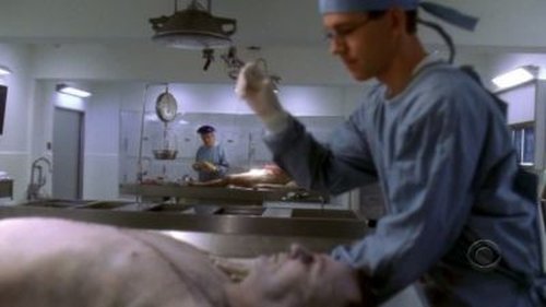 NCIS Season 3 Episode 19 - Iced