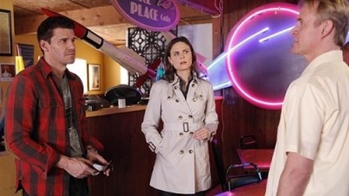 Bones Season 5 Episode 11 - The X in the File