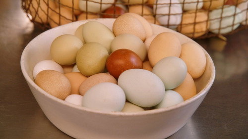 Martha Cooks Season 1 Episode 3 - How to Properly Cook an Egg