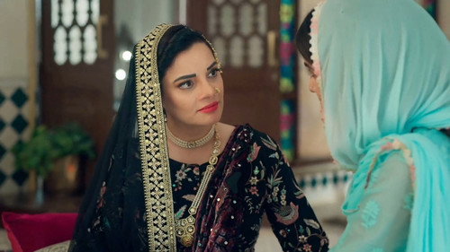 Seher Hone Ko Hai Season 2 Episode 176 - Hyder trails Seher