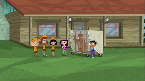 Phineas and Ferb Season 3 Episode 43 - Buford Confidential