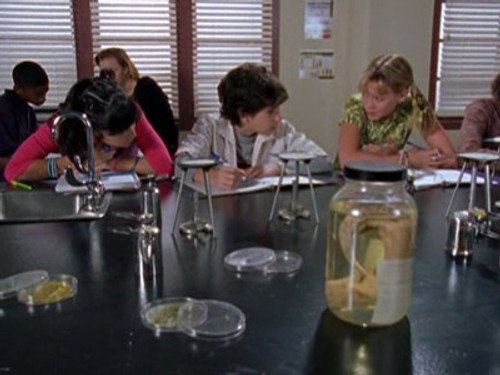 Lizzie McGuire Season 1 Episode 6 - Jack of All Trades