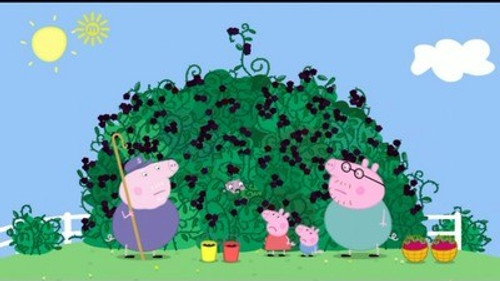Peppa Pig Season 3 Episode 46 - The Blackberry Bush