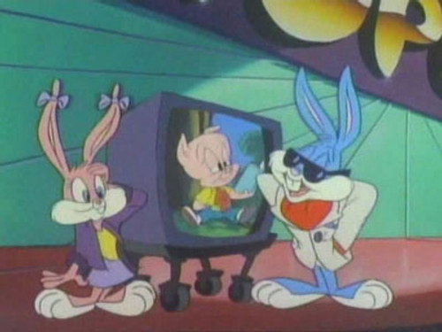 Tiny Toon Adventures Season 1 Episode 48 - Mr. Popular's Rules of Cool