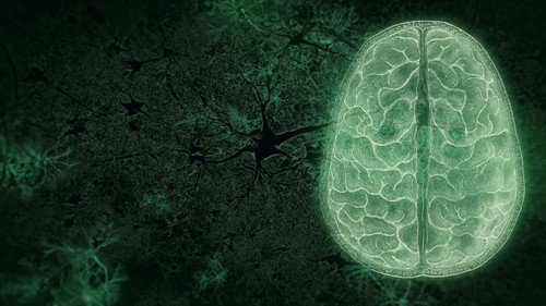 NOVA Season 50 Episode 10 - Your Brain: Who's in Control? (2)