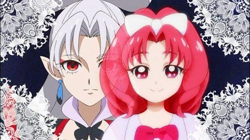 Go! Princess PreCure Season 1 Episode 20 - Reunited with Kanata!? Going to the Hope Kingdom Now!