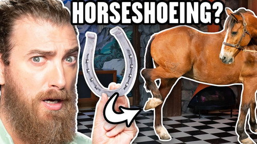 Will We Die Shoeing A Horse? still