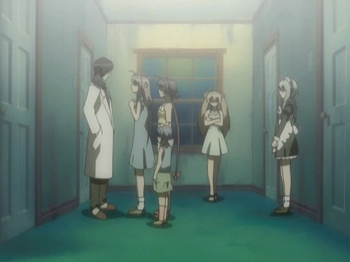 Did a Maid Really Come?! still