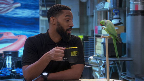 Disjointed Season 1 Episode 15 - Travissimo Private Reserve