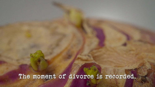 Taskmaster Season 2 Episode 5 - The Moment of Divorce Is Recorded
