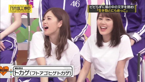 Panicky Queen Championship Part 2 still