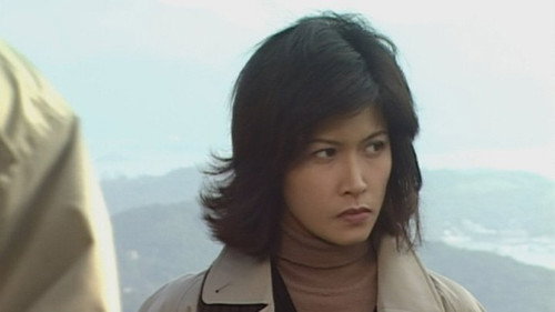 Detective Investigation Files Season 4 Episode 20 - Episode 20