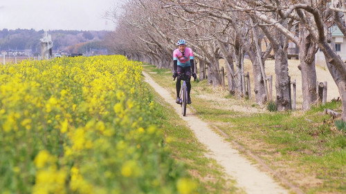 Cycle Around Japan Season 13 Episode 5 - Ibaraki & Tochigi - The Bounties of Spring
