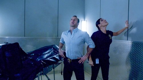 Hawaii Five-0 Season 5 Episode 20 - Ike Hānau (Instinct)