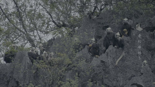 China: The Sublime Season 1 Episode 5 - Episode 5