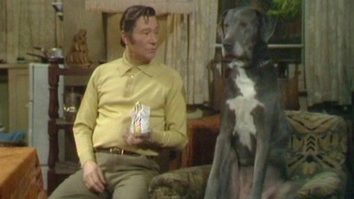 On the Buses Season 3 Episode 13 - On the Make