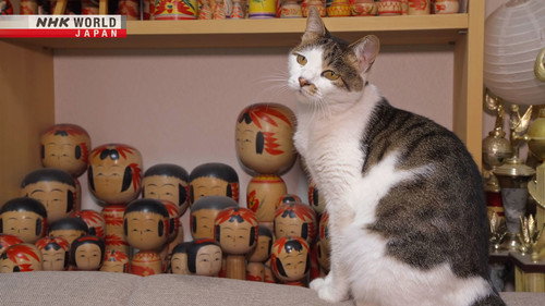 A Cat's-Eye View of Japan Season 1 Episode 21 - Yamagata: A Caring Producer