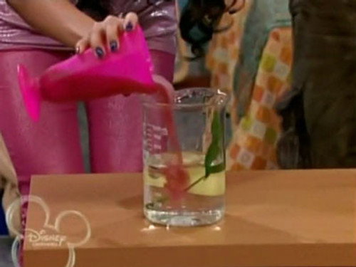 The Suite Life on Deck Season 1 Episode 8 - Sea Monster Mash