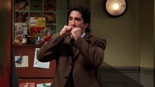 undefined Season 5 Episode 9 - The One with Ross's Sandwich