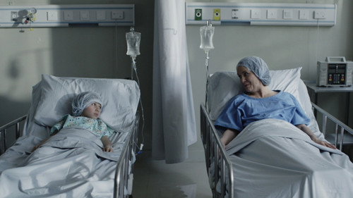 El transplante still