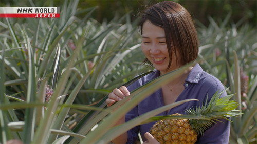 Zero Waste Life Season 5 Episode 11 - Pineapple Power