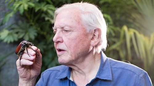 Micro Monsters with David Attenborough Season 1 Episode 1 - Conflict