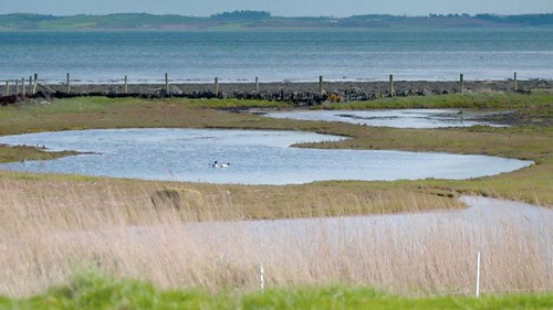 Countryfile Season 35 Episode 17 - County Down Spring