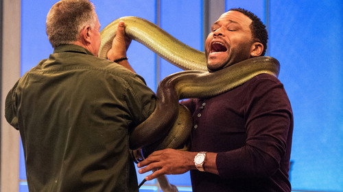 Animal Nation With Anthony Anderson Season 1 Episode 3 - Bellamy Young; Steve Byrne; Snakes
