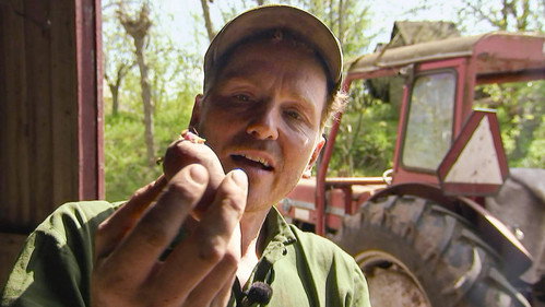 Frank & Kastaniegaarden Season 31 Episode 11 - Episode 11