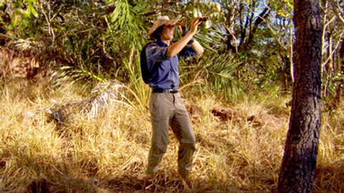 Andy's Wild Adventures Season 1 Episode 9 - Capuchin Monkey