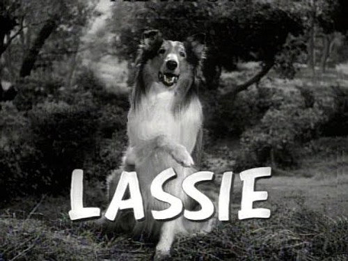 Lassie Season 11 Episode 20 - High Water