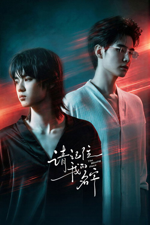 The Missing Piece poster