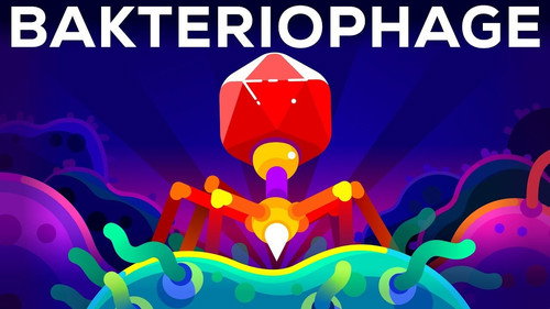 Kurzgesagt - In a Nutshell Season 6 Episode 7 - The Deadliest Being on Planet Earth — The Bacteriophage