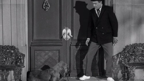 The Beverly Hillbillies Season 3 Episode 20 - Jed's Temptation