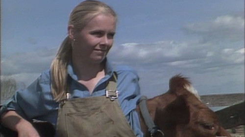 A Country Practice Season 1 Episode 7 - They Shoot Cows? (1)
