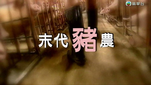 News Treasury Season 2 Episode 17 - Episode 17