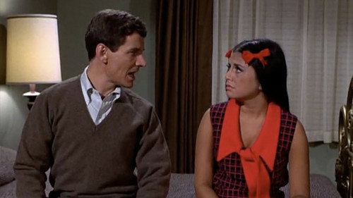 Love, American Style Season 1 Episode 35 - Love and the Bachelor
