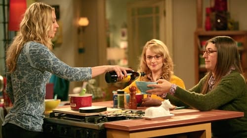 The Big Bang Theory Season 4 Episode 19 - The Zarnecki Incursion