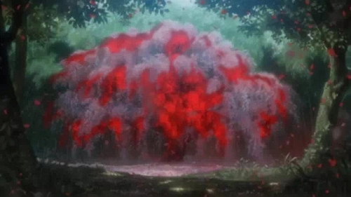 Aoi Bungaku Series Season 1 Episode 5 - In the Forest, Under Cherries in Full Bloom - Chapter 1