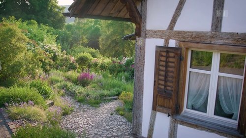 Background image for A natural garden