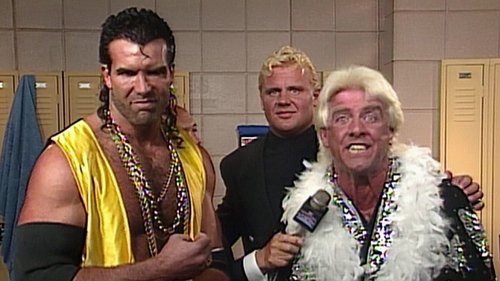 Background image for Saturday Night's Main Event - Nov 14, 1992