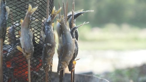 Background image for For the Love of Akigawa's Sweetfish