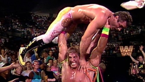 Background image for Saturday Night's Main Event - Jul 28, 1990