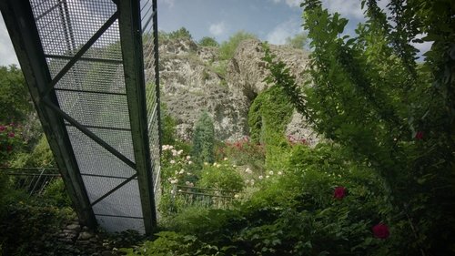 Background image for The hanging garden