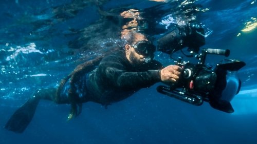 Background image for Summer