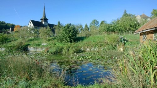 Background image for In a monastery garden