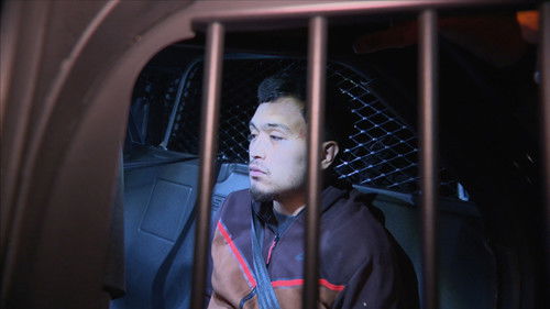 Background image for Flee Finder