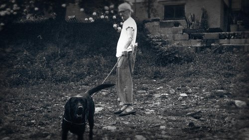 Background image for Catch .44
