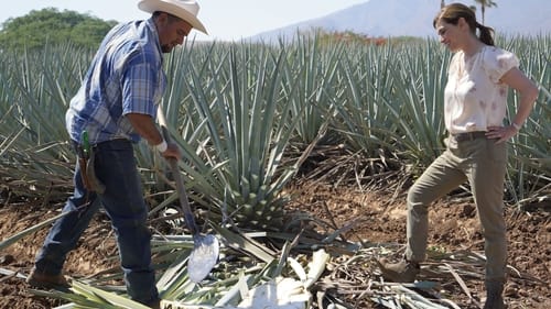 The heart of Tequila