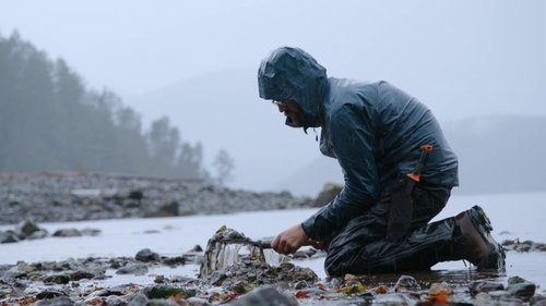 Background image for Searchin for Urchin